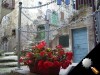 castelluccio 028.JPG